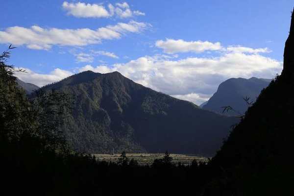 鲁朗林海实景